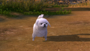 12408863_1548855292071416_89994396_n