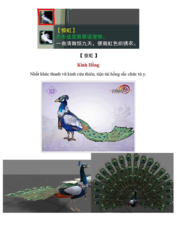 13116393_957273734386727_6492670356644119058_o