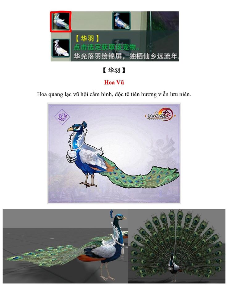 13116493_957273717720062_6205255092065954268_o