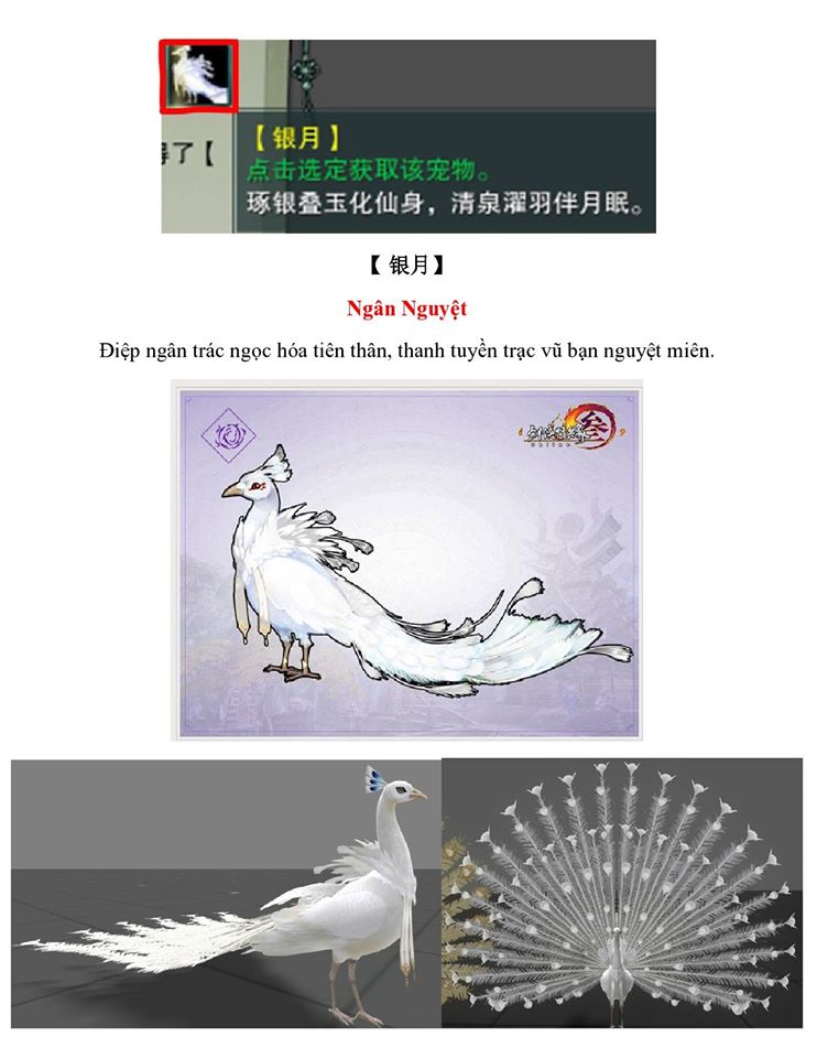 13147368_957273781053389_8750315333167115360_o