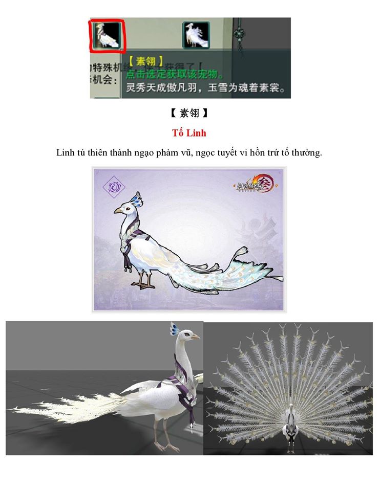 13173462_957273741053393_4536832526971994982_o