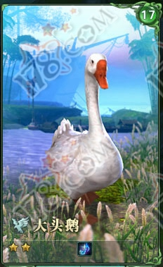 image_2022-04-13_043842849