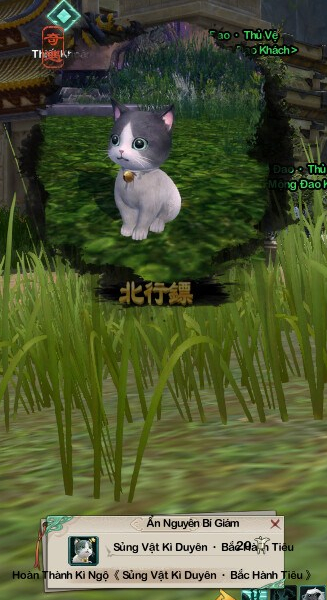 2020-08-07_08-20-11-000